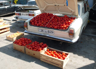 Anna Jermolaewa. Otto-Breicha-Preis für Fotokunst 2021 / Museum der Moderne Salzburg