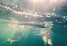 ISFF – Linz International Short Film Festival 2023 / Kunstuniversität Linz