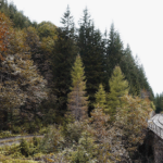 Kontaminierte Landschaften, Graz