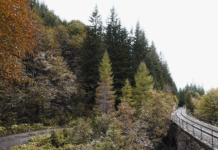 Contaminated Landscapes. Traces of Nazi Terror / Galerie Centrum, Graz, Styria