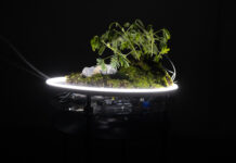 Ars Electronica 2023 / Linz, various locations