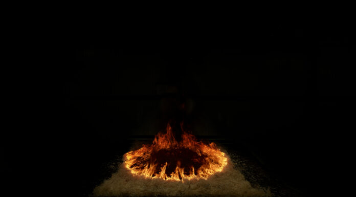 Phänomene – Marina Gadonneix / FOTOHOF, Salzburg