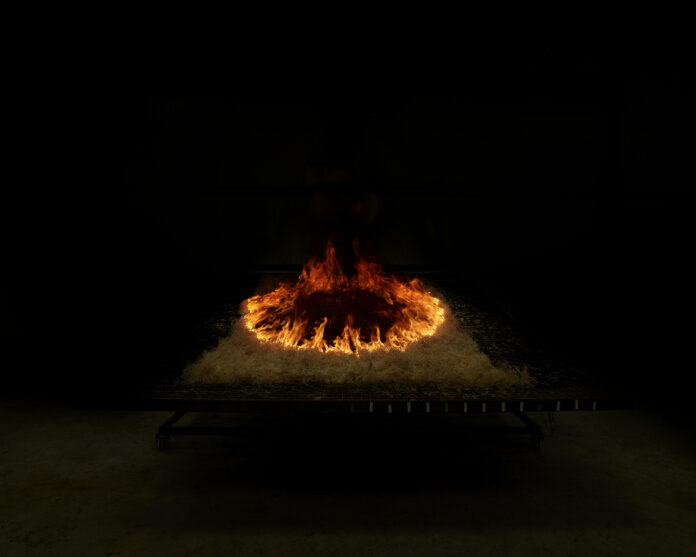Marina Gadonneix, untitled (wildfire) #2. (c) Courtesy Galerie Christophe Gaillard