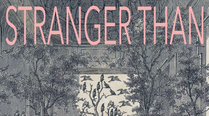 Stranger than Paradise – Evalie Wagner und Luz Olivares Capelle / Stadtgalerie Museumspavillon, Salzburg
