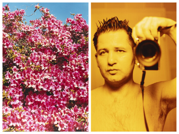 Blumen in pink, (c) Paul Albert Leitner, »Florida 2004«, 2004, C-Print
