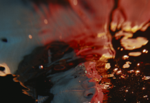 This Human World Festival 2023 / various locations, Wien