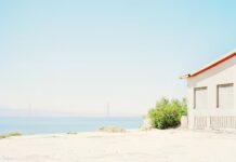 Christoph Grill: Eine Ahnung von Wildnis – A Notion of The Wild / off_gallery, Graz