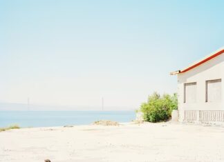 Christoph Grill: Eine Ahnung von Wildnis – A Notion of The Wild / off_gallery, Graz