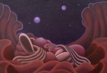 Darker, Lighter, Puffy, Flat / Museumsquartier, Wien