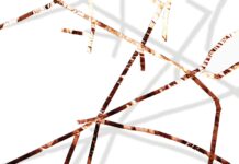 Resonating Sculptures / esc medienkunstlabor, Graz, Styria