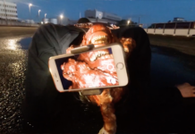 Chin Tsao / Galerie allerart, Bludenz