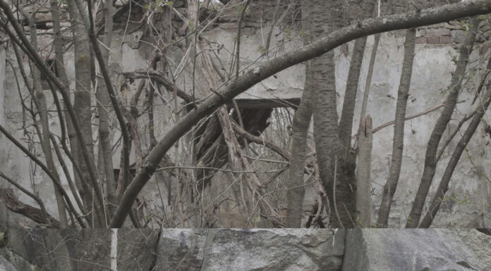 Rosa Andraschek. Memory Spaces / Salzburger Kunstverein