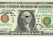 Steve Pikelny – DYOR / NFA / Francisco Carolinum Linz