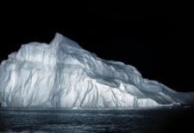 MATHIAS KESSLER | Staging Nature (Die Inszenierung der Natur) / Bildraum Bodensee, Vorarlberg
