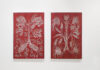 Virgin nature – Renate Hausenblas & Ina Loitzl / Stadtgalerie Museumspavillon, Salzburg