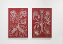 Virgin nature – Renate Hausenblas & Ina Loitzl / Stadtgalerie Museumspavillon, Salzburg