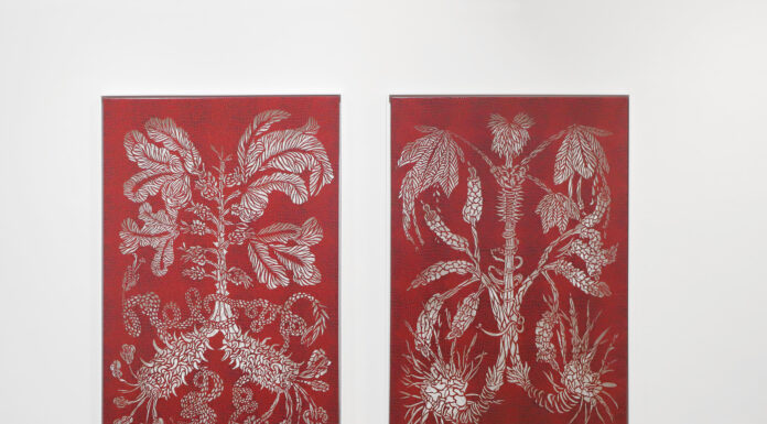 Virgin nature – Renate Hausenblas & Ina Loitzl / Stadtgalerie Museumspavillon, Salzburg
