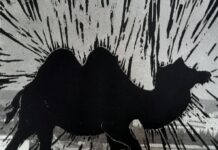 Camels & Oases / kunstGarten, Graz