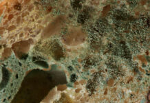 Brotlos – Leben ohne Sicherheit / Wien Museum MUSA