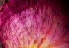 Herlinde Koelbl– Life at its best / Leica Galerie, Salzburg