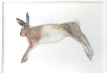 Iris Christine Aue, Hannah Winkelbauer: TO DRAW ATTENTION / Kubin-Haus Zwickledt, Oberösterreich