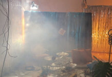 Eva Egermann, Cordula Thym – C-TV: Close Encounters of the Hamster Kind / Kunsthaus Graz, Styria