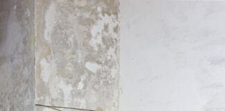 MELANIE ENDER | two limerick oysters / Bildraum 07, Wien