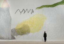 Jongsuk Yoon Kumgangsan / mumok, Wien