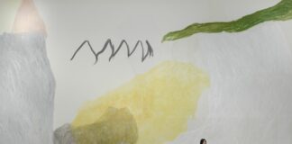 Jongsuk Yoon Kumgangsan / mumok, Wien