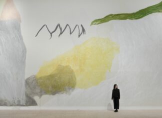 Jongsuk Yoon Kumgangsan / mumok, Wien