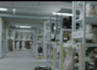 Raub / Wien Museum & Jüdisches Museum der Stadt Wien