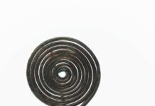 Symposium Hallstatt Kultur / Kultur- und Kongresshaus Hallstatt, Oberösterreich