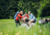 Footprint Kleinwalsertal – Festival of Nature Education / Walserhaus Hirschegg, Vorarlberg