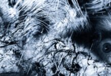 Playing Entity / esc medienkunstlabor, Graz, Steiermark