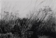 Liz Nicol: Getting Close – Notes from the Venice Lagoon / off_gallery & raum, Graz