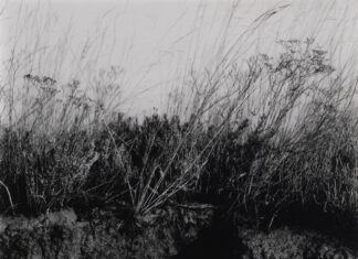 Liz Nicol: Getting Close – Notes from the Venice Lagoon / off_gallery & raum, Graz