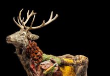 Wunderkammer / Künstlerhaus Wien