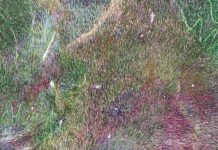 Linda Berger – The Beginning Of Something / Elektrohalle Rhomberg, Salzburg