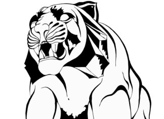 Franz Kapfer: Atlanten – Ich oder das Chaos / HALLE FÜR KUNST, Graz, Steiermark