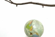 Artists in Residence 2024 / Austrian Sculpture Park, Premstätten, Styria