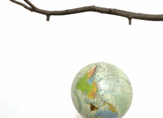 Artists in Residence 2024 / Österreichischer Skulpturenpark, Premstätten, Steiermark