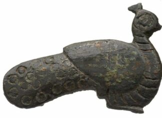 Animalia – Die Tiere von Flavia Solva / Flavia Solva, Wagna, Steiermark