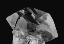 Anouk Tschanz – Actinism / Camera Austria, Graz