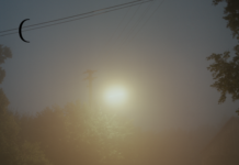 Thomas Bergner – Disappearing in the Dark / Oberösterreichischer Kunstverein, Linz