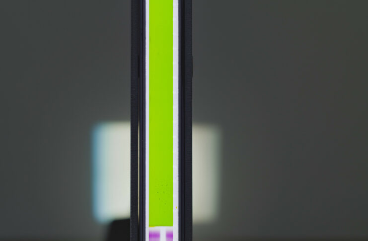 Flashes of Resilience / Salzburger Kunstverein, Salzburg