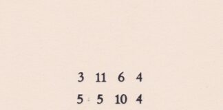 MARTIN SOMMER / Bildraum 01, Wien