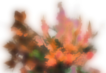 40 Jahre Galerie eboran / eborangalerie, Salzburg