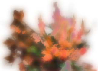 40 Jahre Galerie eboran / eborangalerie, Salzburg