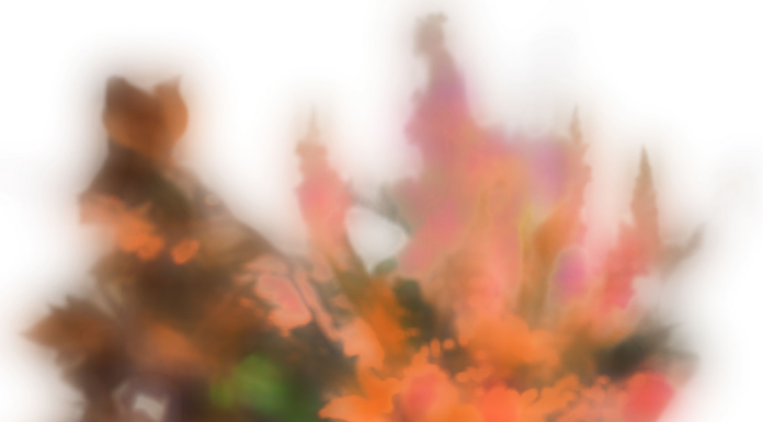 40 Jahre Galerie eboran / eborangalerie, Salzburg