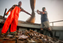 Ars Electronica 2024 / Linz, various locations